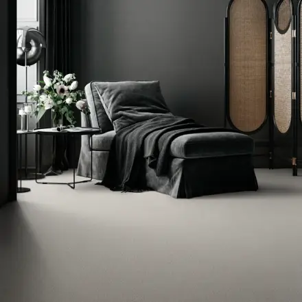 Preview of Fitted Carpets placement.
