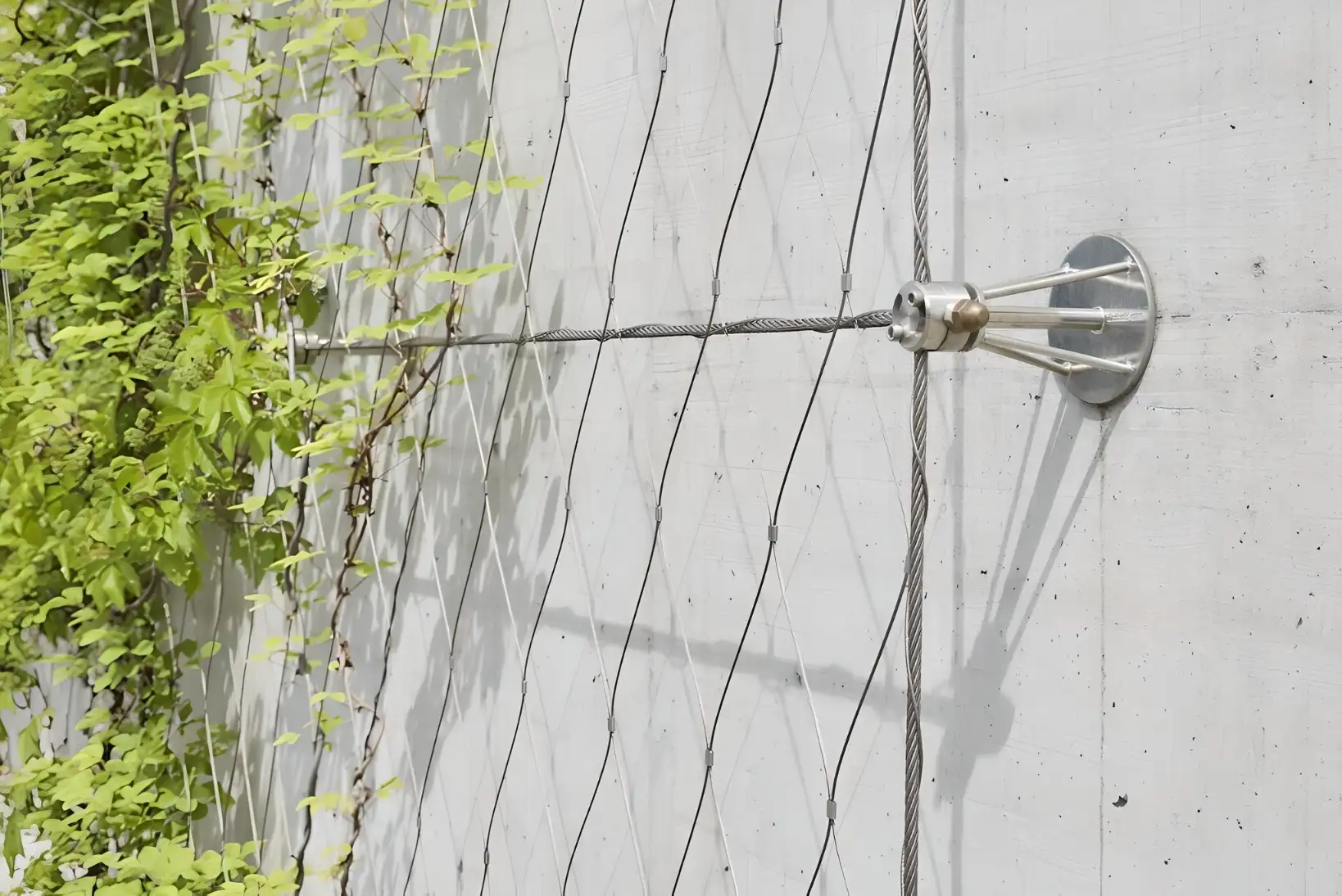 Preview of Rope Systems placement.